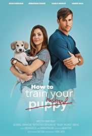 How To Train Your Husband 2017 Hindi Dubbed Filmy4WEB